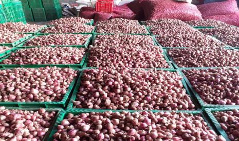 Petani bawang merah panen. Harga bawang merah di pasaran Kupang, Nusa Tenggara Timur (NTT), pekan ini mengalami penaikan sebesar Rp15 ribu per kilogram dari sebelumnya Rp 20 ribu menjadi Rp 35 ribu per kg.