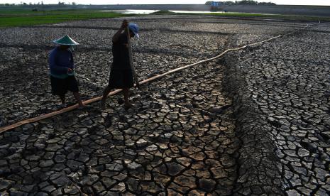 Petani beraktivitas di dasar Waduk Dawuhan yang mengering akibat musim kemarau di Kabupaten Madiun, Jawa Timur, Minggu (22/8/2021). Sejumlah petani di kawasan sekitar waduk tersebut memanfaatkan dasar waduk untuk lahan pertanian dengan jenis tanaman berumur pendek seperti sayur-sayuran dan jagung, sehingga sudah bisa dipetik hasilnya sebelum waduk terisi pada musim hujan.