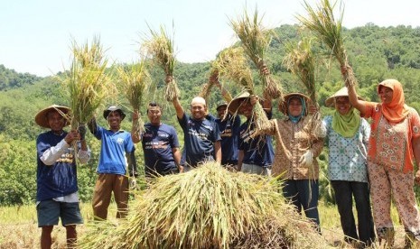 Petani binaan LAZ Al Azhar.