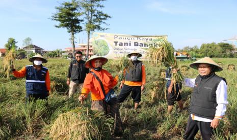 Petani binaan Lazismu Solo di Desa Sidorejo Kecamatan Bendosari, Sukoharjo melakukan panen raya program Tani Bangkit. Panen Raya tersebut merupakan panen periode April-Mei 2020.   Panen raya jenis padi Mekongga berada di lahan seluas 6000 meter persegi merupakan kolaborasi antara Lazismu dan petani binaan. 