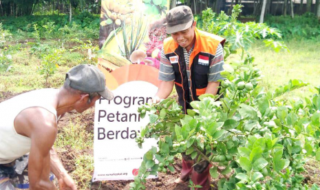 Petani Binaan. Petani binaan Rumah Zakat memanen perdana jambu kristal dan jeruk nipis.