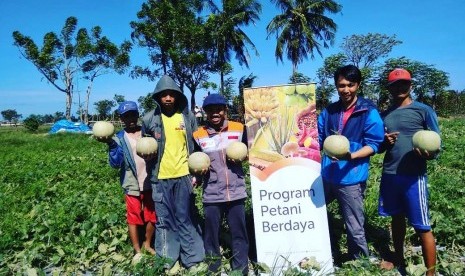 Petani binaan Rumah Zakat panen 1.400 biji melon. 