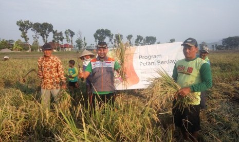 Petani di desa berdaya Manggungsari melakukan panen raya.