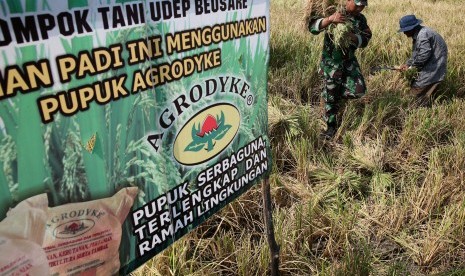 Petani dibantu anggota Babinsa Koramil Baitussalam memanen padi hasil uji coba penggunaan pupuk organik 'agrodyke' di Desa Limpok, Aceh Besar, Aceh, Senin (14/3).