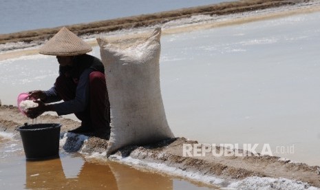 Petani garam di Cirebon