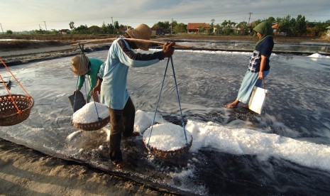 Petani garam (ilustrasi) 