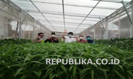 Petani hidroponik Slamet Riyanto (kedua kanan) bersama komunitas hidroponik berpose di di kebun sayur hidroponik. 