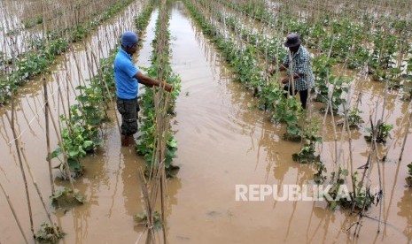 Kementan-BNI salurkan KUR Rp 4,1 M untuk petani Karanganyar. Foto petani (ilustrasi)