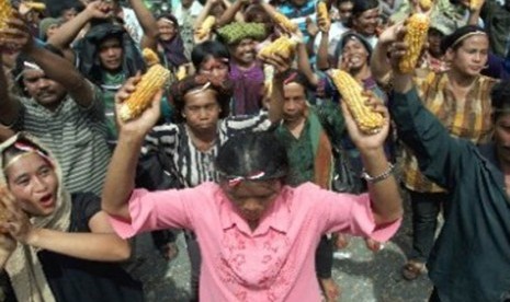 Petani jagung melakukan aksi unjuk rasa menolak kebijakan jagung impor. 