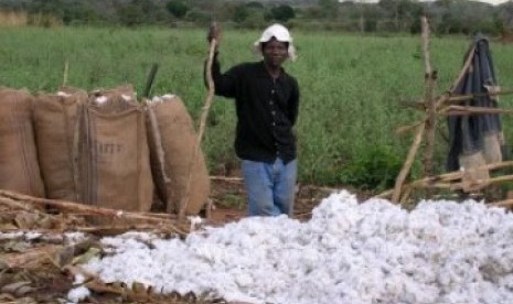 Petani kapas Mozambik