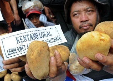 Petani kentang saat berdemonstrasi karena harga kentang anjlok akibat membanjirnya kentang impor.