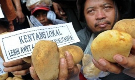 Petani kentang saat berdemonstrasi karena harga kentang anjlok akibat membanjirnya kentang impor.