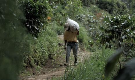 Petani kopi Puntang Wangi, Jawa Barat