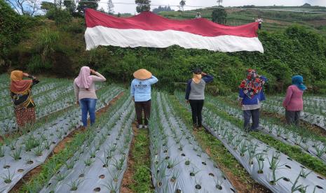 Petani lereng Gunung Merbabu hormat kepada Sang Merah Putih saat pembentangan kain Merah Putih di lahan pertanian lereng Gunung Merbabu, Selo, Boyolali, Jawa Tengah, Selasa (16/5/2022). Kegiatan yang dilakukan petani lereng Gunung Merbabu itu untuk memeriahkan menyambut HUT ke-77 Kemerdekaan Republik Indonesia serta menanamkan jiwa nasionalisme kepada generasi muda. 