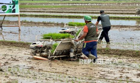 Petani melakukan penanaman padi di Kabupaten Langkat, Sumatera Utara, pada Selasa (24/12/2024). Wapres Gibran dan Mentan Amran menanam varietas padi unggul Inpari 32 pada lahan persawahan seluas 530 hektare. Penanaman padi dilakukan dengan rice tranpslanter sebagai upaya pemerintah memperkuat mekanisasi dan percepatan swasembada. Penanaman padi ini menegaskan komitmen pemerintah dalam memperkuat ketahanan pangan nasional.