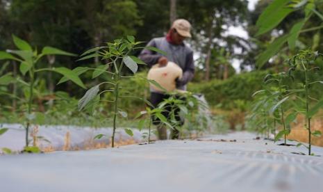 Petani melakukan perawatan pohon di Taman Keanekaragaman Hayati (Taman Kehati) Pabrik Aqua Babakanpari, Kabupaten Sukabumi, Jawa Barat.  Kementerian Pertanian (Kementan) mencetak profesor pertama di bidang penyuluhan pertanian dan akan dikukuhkan langsung oleh Menteri Pertanian Syahrul Yasin Limpo pada Jumat (17/2/2023).