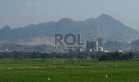 Petani melintasi sawahnya yang berada di Palimanan, Kabupaten Cirebon, Jawa Barat, Jumat (26/6).