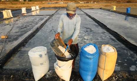 Petani memanen garam di area tambak Kaliori, Rembang, Jawa Tengah.