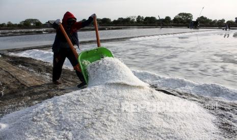 Petani memanen garam di Desa Tambak Cemandi, Kecamatan Sedati, Kabupaten Sidoarjo, Jawa Timur (ilustrasi).