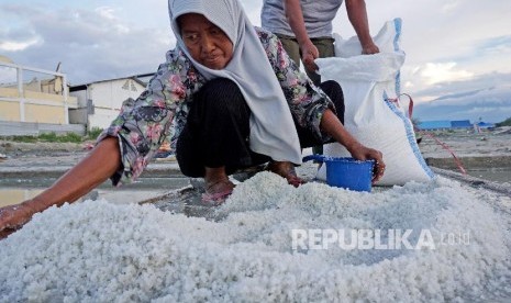 Petani memanen garam di Kawasan Penggaraman Talise, Palu, Sulawesi Tengah, Senin (13/5/2019). Tingginya permintaan garam pada bulan Ramadhan membuat petani garam konvensional di tempat tersebut memacu produksinya, dan saat ini harga garam di tempat tersebut berkisar Rp 150 ribu perkarung. 