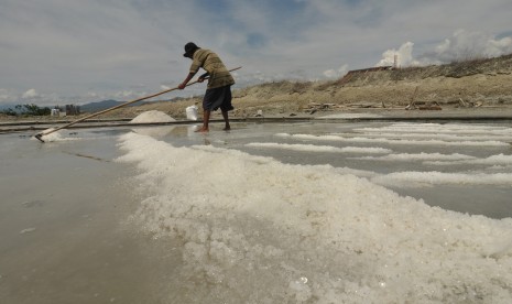 Garam laut