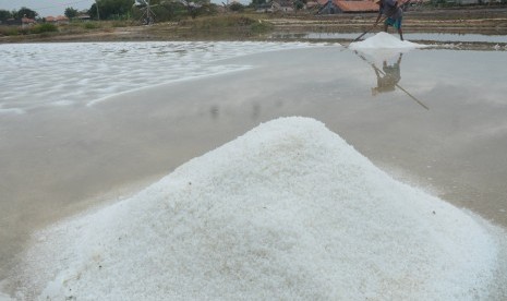 Petani memanen garam perdana pada musim olah tahun 2019 di lahan garam Desa Bunder, Pamekasan, Jawa Timur, Jumat (14/6/2019). 