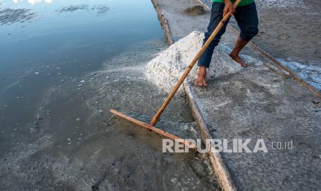 Petani memanen garam yang digunakan sebagai bahan pupuk di kawasan penggaraman Talise, Palu, Sulawesi Tengah, Rabu (17/3/2021). Pemerintah kembali membuka keran impor garam sebanyak 3,07 juta ton di tahun 2021 untuk memenuhi kekurangan garam bagi industri dalam negeri dan kurangnya kualitas garam rakyat yang dinilai masih berada di bawah standar kadar untuk industri. 