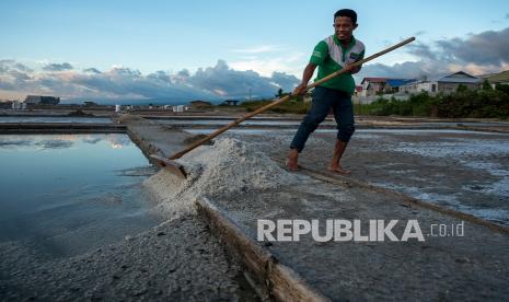 Petani memanen garamnya yang diperuntukkan sebagai bahan pupuk di kawasan penggaraman Talise, Palu, Sulawesi Tengah, Rabu (17/3/2021). Pemerintah kembali membuka keran impor garam sebanyak 3,07 juta ton di tahun 2021 untuk memenuhi kekurangan garam bagi industri dalam negeri dan kurangnya kualitas garam rakyat yang dinilai masih berada di bawah standar kadar untuk industri. 