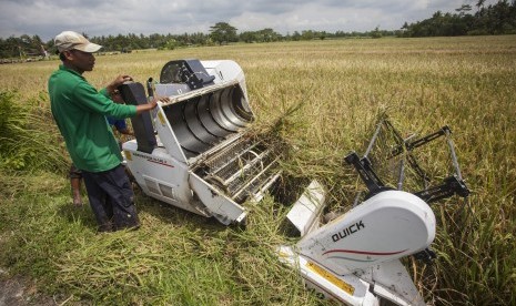 Petani memanen padi dengan mesin.