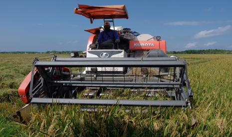 Petani memanen padi menggunakan mesin pemanen padi (combine harvester) di Jembrana, Bali, Rabu (27/7/2022) (ilustrasi). Presiden Joko Widodo (Jokowi) meluncurkan taksi alsintan yang merupakan program dari Kementerian Pertanian, di Kecamatan Penceng, Kabupaten Gresik, Jawa Timur, Senin (22/8/2022).