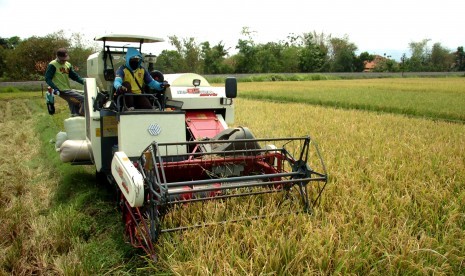 Petani memanen padi menggunakan mesin potong padi modern di areal persawahan Desa Dukuhwringin, Kabupaten Tegal, Jawa Tengah, Sabtu (3/11/2018). 