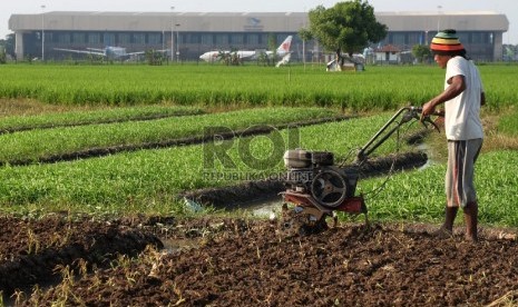 Petani membajak sawah di kawasan Batu Ceper, Tangerang, Banten, Kamis (7/1).