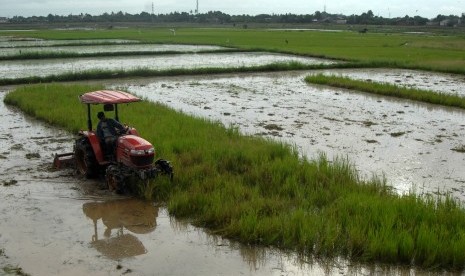 Petani membajak sawah yang akan ditanami di kawasan Somba Opu, Kabupaten Gowa, Sulawesi Selatan, Sabtu (1/12/2018). 