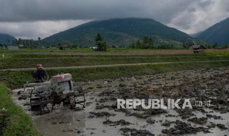 Petani membajak sawahnya yang berada di lereng bukit menggunakan traktor tangan di Desa Baliase Boya, Sigi, Sulawesi Tengah, Sabtu (27/11/2021). Badan Meteorologi, Klimatologi, dan Geofisika (BMKG) mengingatkan kewaspadaan terhadap ancaman dampak fenomena La Nina di akhir tahun pada ketahanan pangan karena berpotensi merusak tanaman akibat banjir, hama dan penyakit tanaman. 