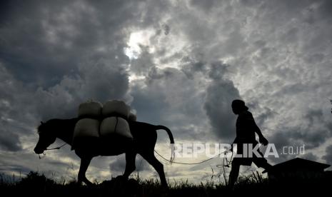 Petani membawa karung berisi gabah menggunakan kuda di Persawahan Kecamatan Somba Opu, Kabupaten Gowa, Sulawesi Selatan.  Kementerian Pertanian (Kementan) menyatakan telah menyiapkan langkah guna mengantisipasi puncak musim kemarau tahun 2022 yang nantinya akan berlangsung pada bulan Agustus. Salah satu terobosan atau cara baru yang didorong yakni gerakan panen air.