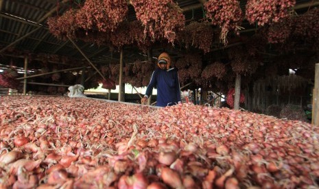 Petani membersihkan bawang merah hasil panen di Pekandangan, Indramayu, Jawa Barat, Selasa (06/11/2018).