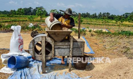 Petani membersihkan gabah hasil panen menggunakan mesin kipas rontongan yang digerakan dengan tenaga manusia. ilustrasi