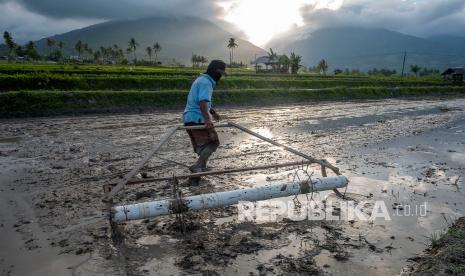 Petani membuat garis penanda untuk penanaman bibit padi di Desa Porame, Sigi, Sulawesi Tengah, Kamis (29/7/2021). Kementerian Pertanian menyebutkan daya serap sektor pertanian atas Kredit Usaha Rakyat (KUR) di 2021 ini cukup baik dengan pertumbuhan mencapai lebih dari 40 persen.