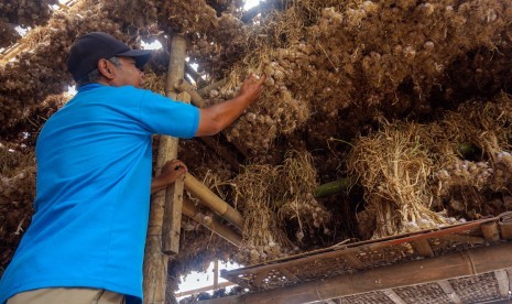 Petani memilah bawang putih di gudang penyimpanan di Desa Gunungsari, Bawang, Kabupaten Batang, Jawa Tengah, Rabu (17/7/2019). 