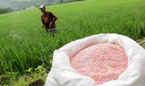 Petani memupuk padi di area persawahan. Anggota holding Pupuk Indonesia, PT Pupuk Kalimantan Timur (PKT), kembali berhasil mendorong produktivitas pertanian masyarakat melalui program Makmur; khususnya komoditas padi di Desa Panca Agung, Kabupaten Bulungan, Kalimantan Utara.