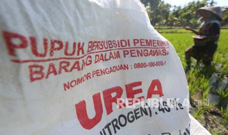 Petani menabur pupuk bersubsidi di area persawahan Indrapuri, Aceh Besar, Aceh, Sabtu (22/1/2022). Pemerintah resmi mengurangi jenis pupuk bersubsidi menjadi hanya dua jenis, yakni Urea dan NPK. 