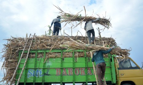 Petani menaikkan tebu ke atas truk saat panen di kawasan Tulangan, Sidoarjo, Jawa Timur, Selasa (26/9). Petani tebu mengeluhkan rendahnya harga acuan gula petani atau harga pembelian pemerintah (HPP) pabrik gula sebesar Rp 9.300 per kg yang dinilai masih di bawah Biaya Pokok Produksi (BPP) sebesar Rp 10.600 per kg.