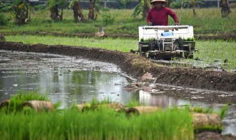 Pemerintah di level manapun harus memperhatikan petani. Ilustrasi petani