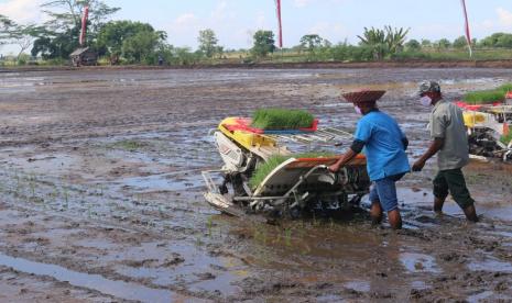 Petani menanam padi (ilustrasi). Badan Pusat Statistik (BPS) Provinsi Jambi mencatat untuk Nilai Tukar Petani (NTP) Provinsi Jambi pada Desember 2020 sebesar 117,83 atau naik 1,80 persen dibanding NTP bulan sebelumnya.