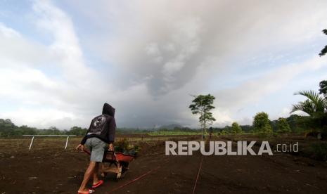 Petani mendorong gerobak di lahan pertanian dekat Gunung Raung di Songgon, Banyuwangi, Jawa Timur (ilustrasi).