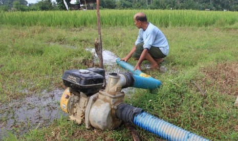 Petani mengairi sawah yang dilanda kekeringan dengan menggunakan mesin pompa air di Desa Rantoe Panjang Barat, Meureubo, Aceh Barat, Aceh, Selasa (9/7/2019).