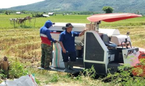 Petani menggunakan mesin combine harvester untuk memanen padi.