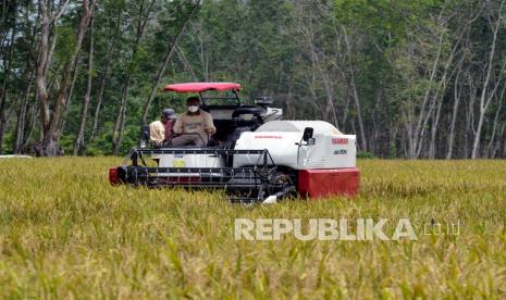 Petani mengoperasikan mesin pemotong padi saat panen perdana padi Gogo Rancah atau padi ladang di Kabupaten Tulangbawang Barat, Lampung, Sabtu (12/2/2022) lalu. Pemerintah Provinsi (Pemprov) Lampung mengatakan penerapan pertanian hemat air dapat menjadi solusi dan mengantisipasi adanya perubahan iklim. 