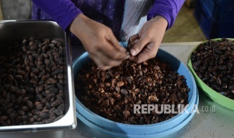 Petani mengupas bibiji kakao sebagai proses untuk dibuat coklat di perkebunan Gambiran, Bunder, Patuk, Gunung Kidul, Yogyakarta, Sabtu (1/10).