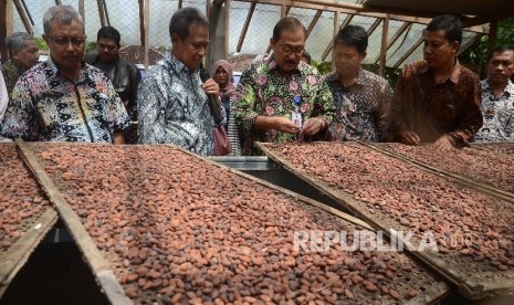  Petani menjemur biji kakao hasil panen di perkebunan Gambiran, Bunder, Patuk, Gunung Kidul, Yogyakarta, Sabtu (1/10).